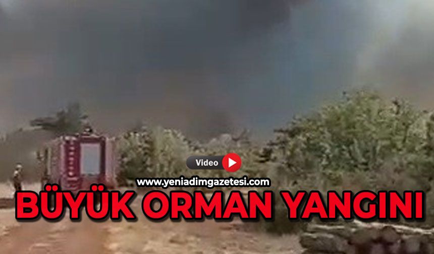 Büyük orman yangını