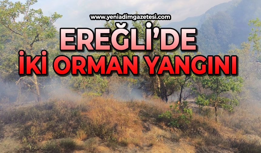 Ereğli'de iki orman yangını