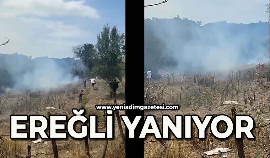 Ereğli yanıyor: Ekipler bölgeye sevk edildi