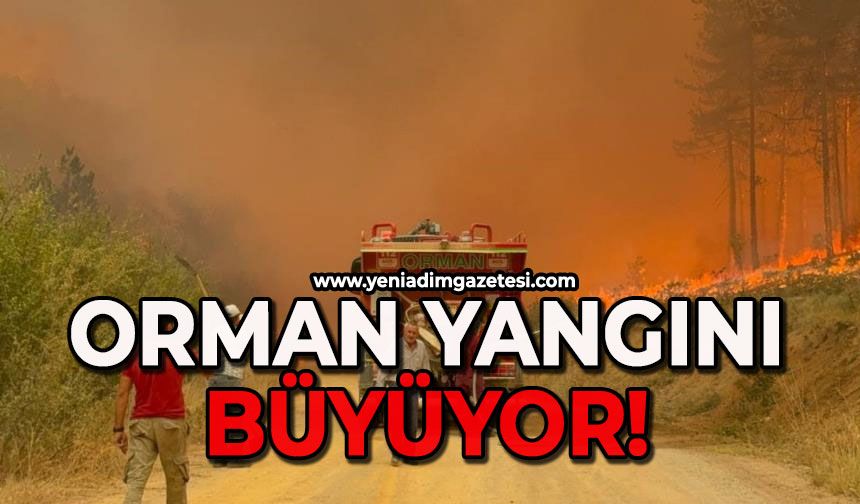 Orman yangını rüzgarın etkisiyle büyüyor