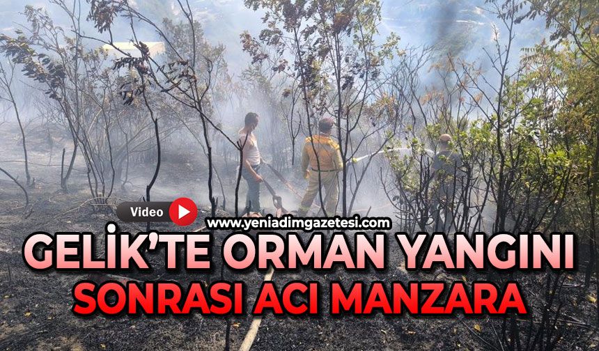 Gelik'te orman yangını sonra acı manzara