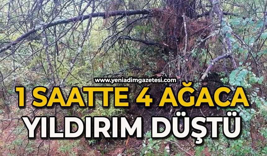 1 saatte 4 ağaca yıldırım düştü