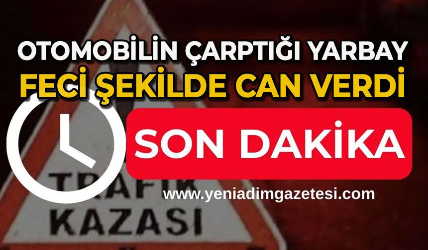 Otomobilin çarptığı yarbay hayatını kaybetti