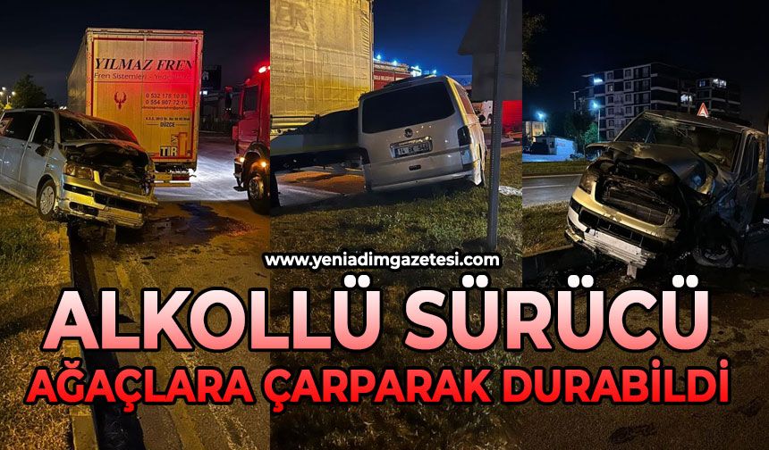 Alkollü sürücü ağaçlara çarparak durabildi: 1 yaralı