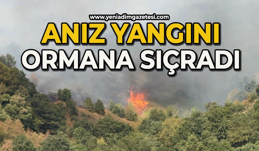 Anız yangını rüzgarın etkisi ile ormana sıçradı