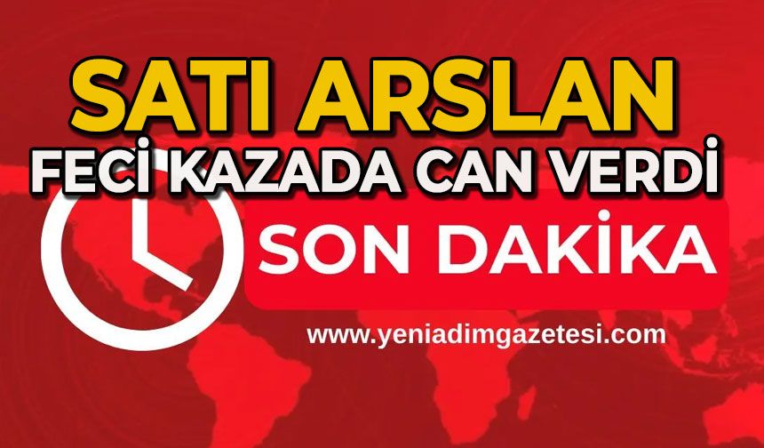 Otomobilin çarptığı Satı Arslan hayatını kaybetti