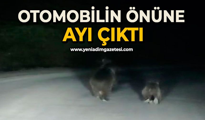 Seyir halindeki otomobilin önüne ayı çıktı