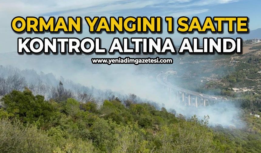 Orman yangını 1 saatte kontrol altına alındı