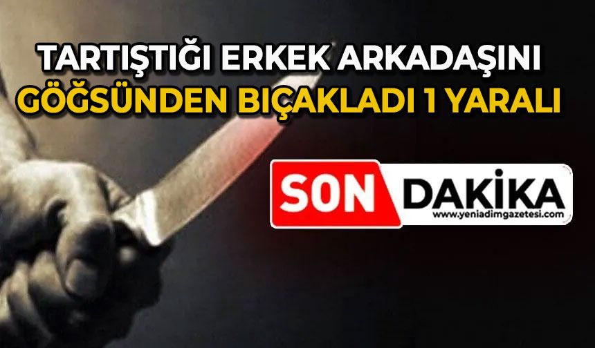 Tartıştığı erkek arkadaşını göğsünden bıçakladı: 1 yaralı