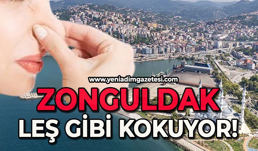 Zonguldak 'leş' gibi kokuyor!