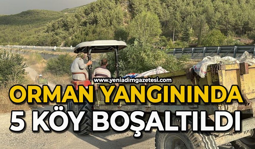 Orman yangını sebebiyle 5 köy tahliye edildi