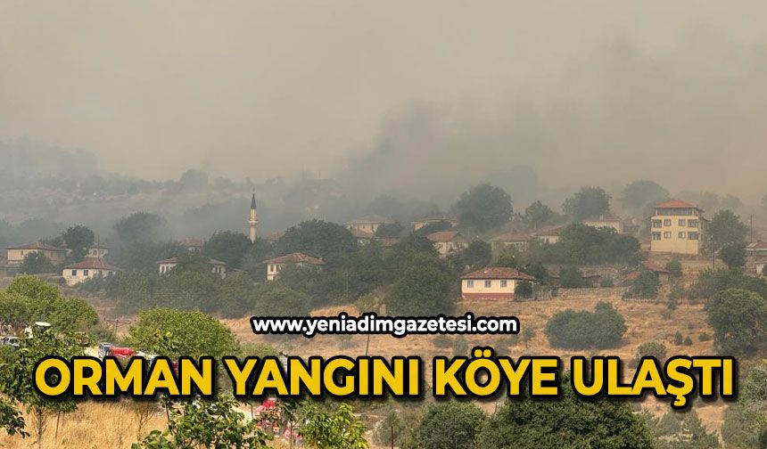 Orman yangını köye ulaştı