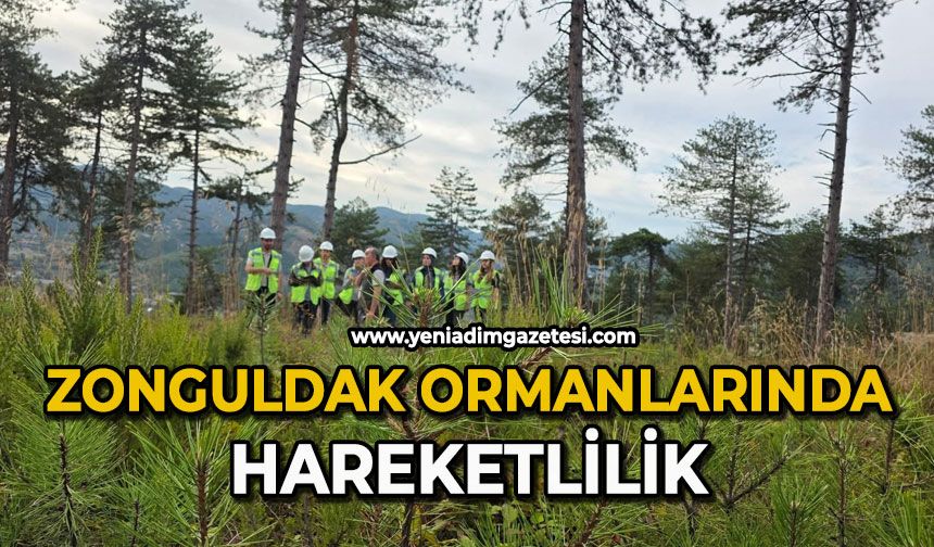 Zonguldak ormanlarında hareketlilik