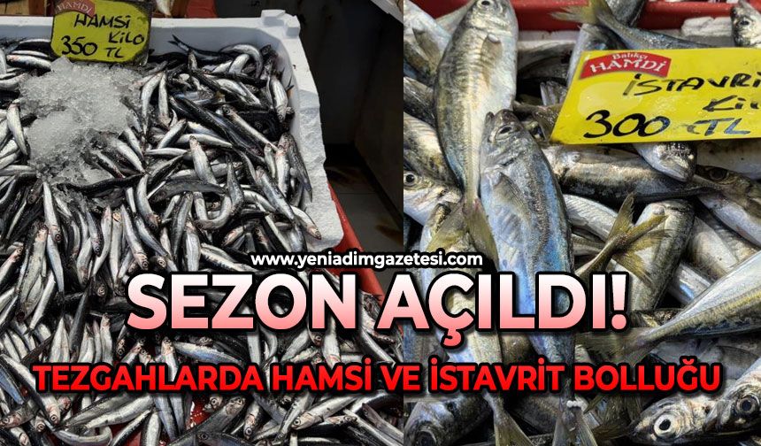 Sezon açıldı: Tezgahlarda hamsi ve istavrit bolluğu