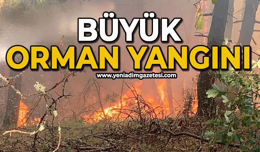 Büyük orman yangını