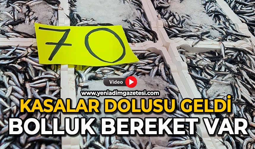 Kasalar dolusu geldi: Bolluk bereket  var