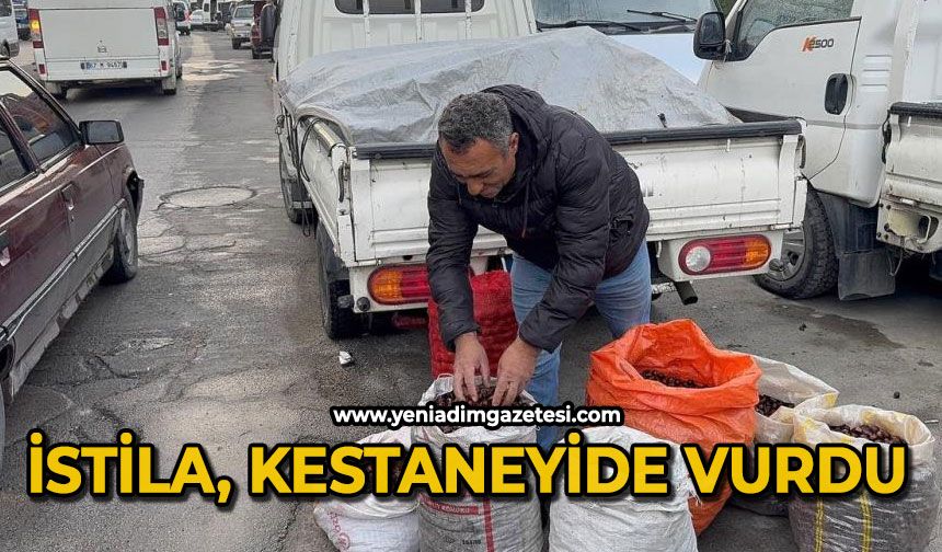 Kuraklık ve gal arısı istilası ünlü kuzu kestanesini de vurdu