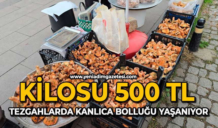 Kilosu 500 TL: Tezgahlarda kanlıca bolluğu yaşanıyor