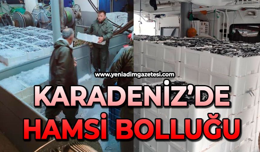 Karadeniz’de hamsi bolluğu