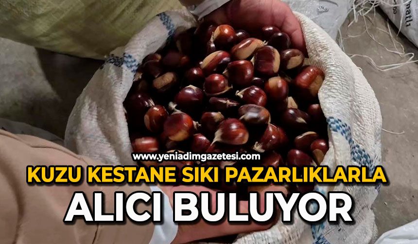 Kuzu kestane sıkı pazarlıklarla alıcı buluyor