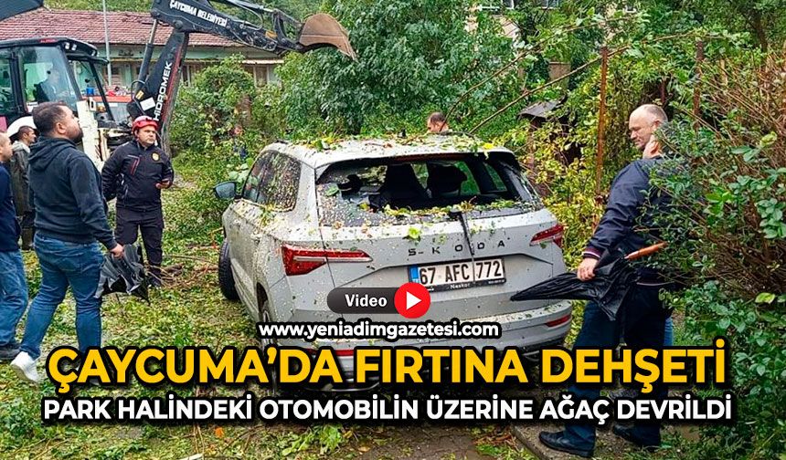 Çaycuma’da fırtına dehşeti: Park halindeki otomobilin üzerine ağaç devrildi