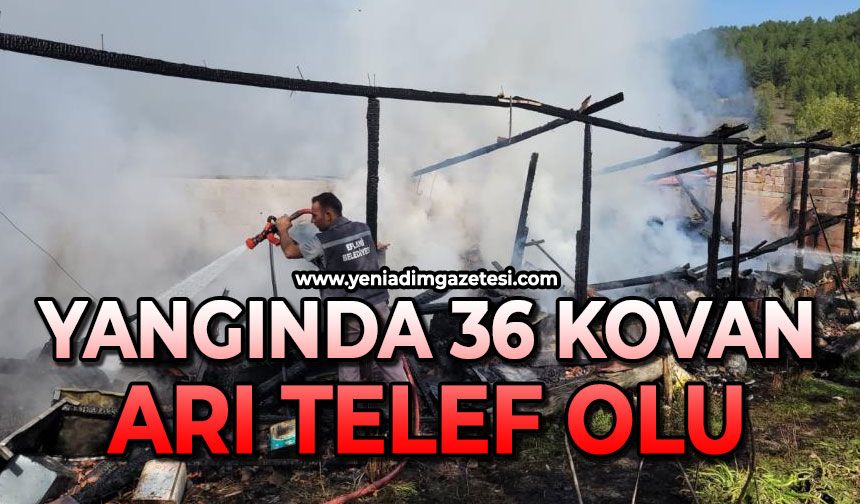 Korkutan yangında 36 kovan arı telef oldu