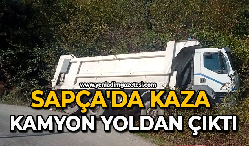 Sapça'da kaza kamyon yoldan çıktı