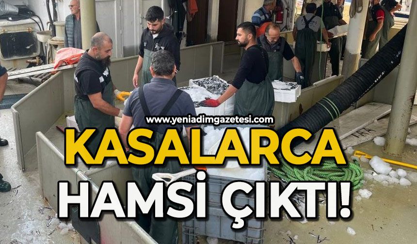 Kasalarca hamsi çıktı