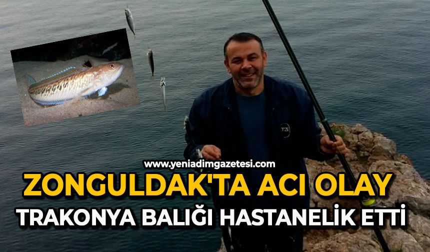 Zonguldak'ta acı olay: Trakonya balığı hastanelik etti