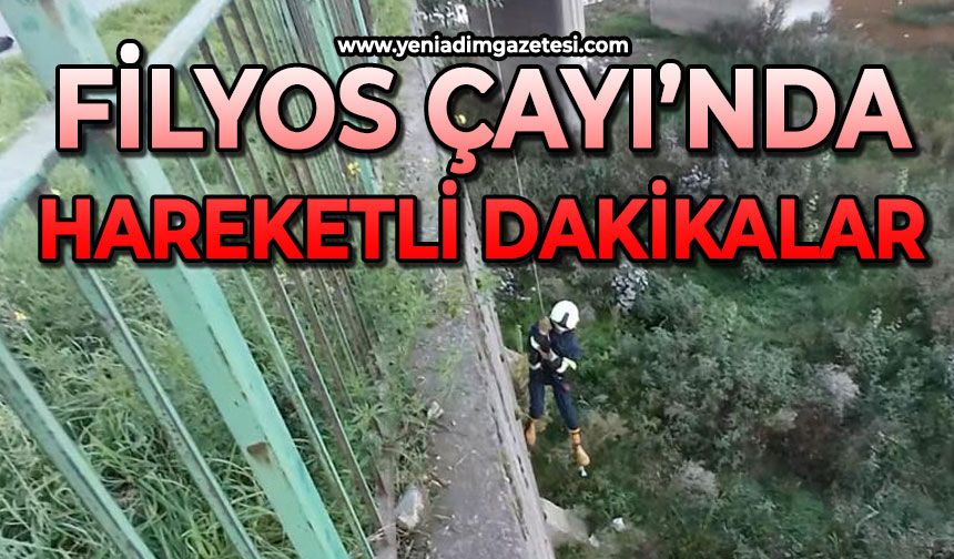 Filyos Çayı'nda hareketli dakikalar!