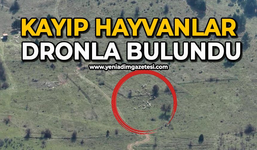Kayıp hayvanlar dronla bulundu
