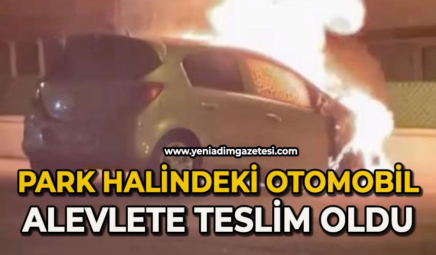 Park halindeki otomobil alevlere teslim oldu