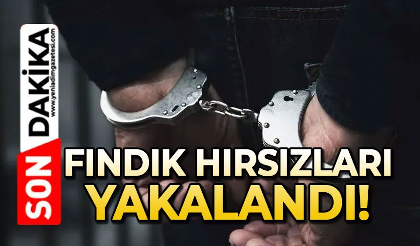 Depodan bir ton fındık çalan hırsızlar yakalandı