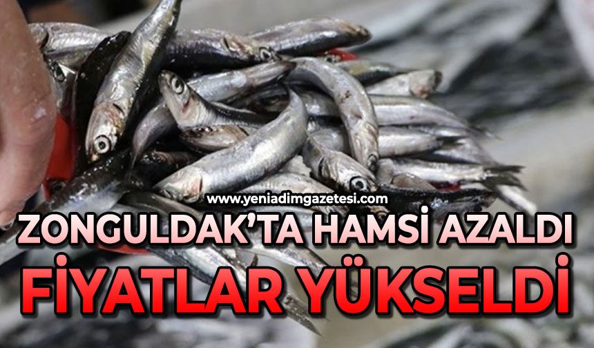 Zonguldak’ta hamsi azaldı, fiyatlar yeniden yükselişte