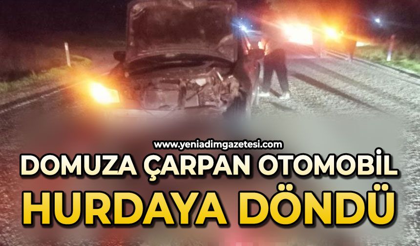 Domuza çarpan otomobil hurdaya döndü: 1 yaralı