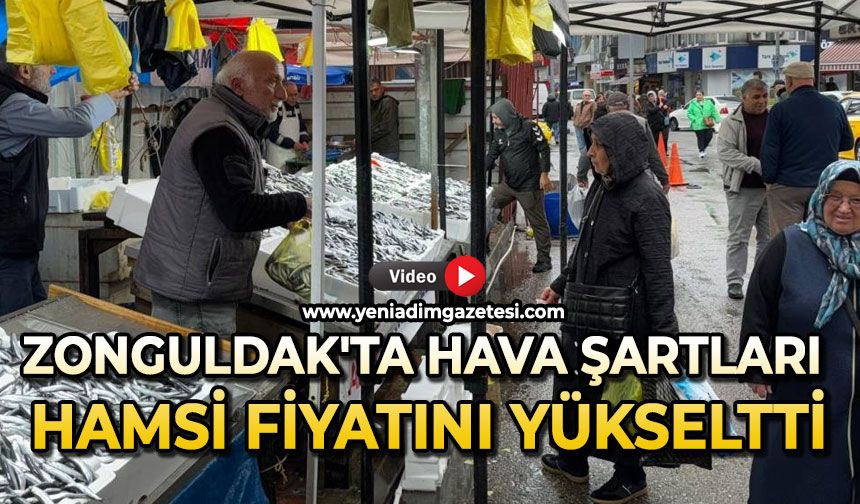 Zonguldak’ta hava şartları hamsi fiyatını yükseltti