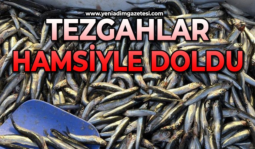 Tezgahlar hamsiyle doldu