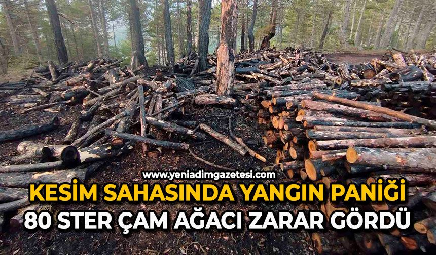 Kesim sahasında yangın paniği: 80 ster çam ağacı zarar gördü
