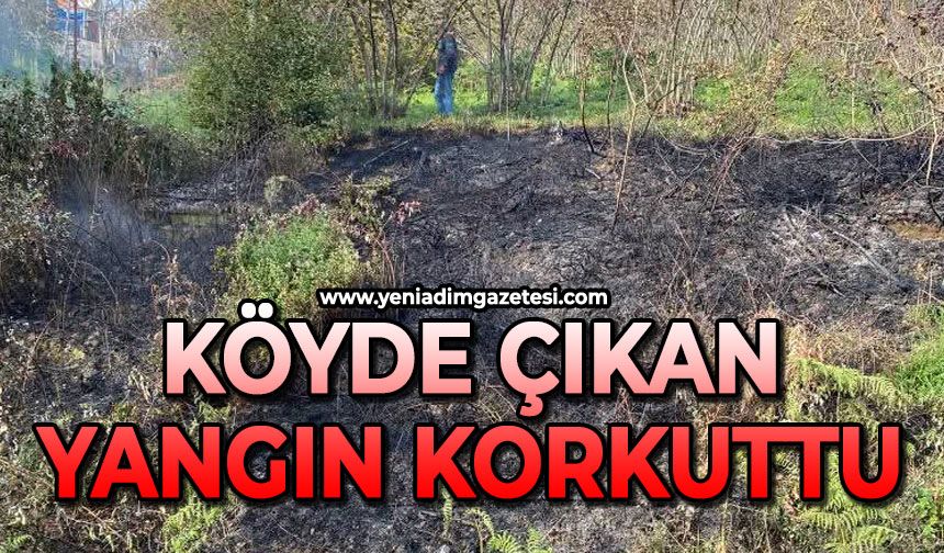Köyde çıkan yangın korkuttu