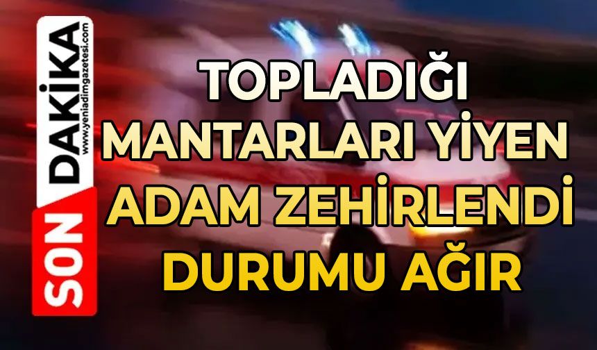 Topladığı mantarları yiyen bir kişi zehirlendi