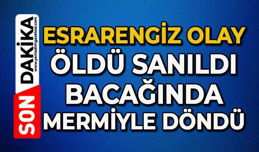 Zonguldak'ta ‘öldü' sanılan kedi, bacağında mermiyle geri döndü