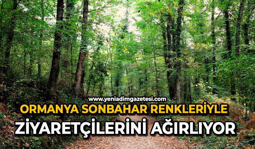 Ormanya sonbahar renkleriyle ziyaretçilerini ağırlıyor