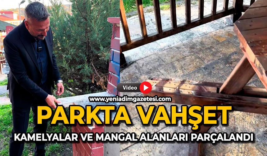 Parkta vahşet: Kamelyalar ve mangal alanları parçalandı