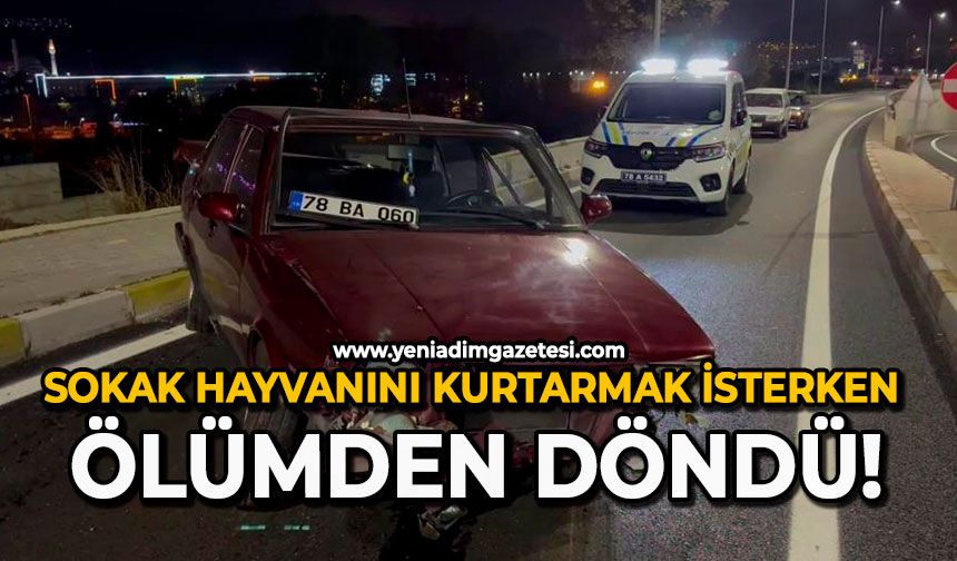 Sokak hayvanını kurtarmak isterken ölümden döndü!
