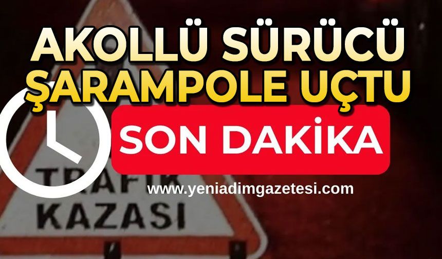Alkollü sürücü şarampole uçtu