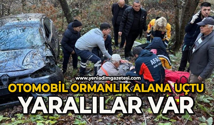 Otomobil ormanlık alana uçtu: Yaralılar var