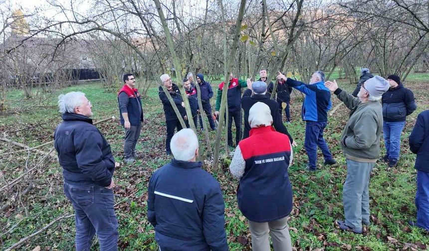 Fındıkta verim ve kalite artırılıyor