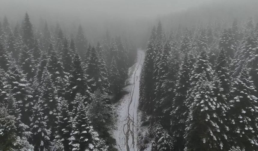 Yüksek kesimler beyaza büründü