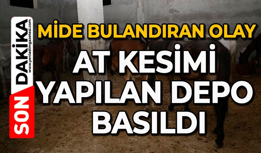Mide bulandıran olay:  At kesimi yapılan depo basıldı