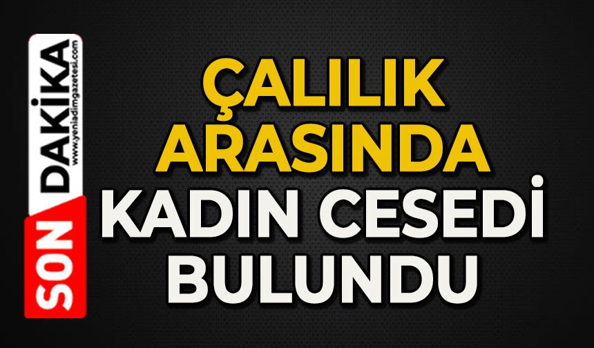 Çalılık arasında kadın cesedi bulundu: Ekipler olay yerinde